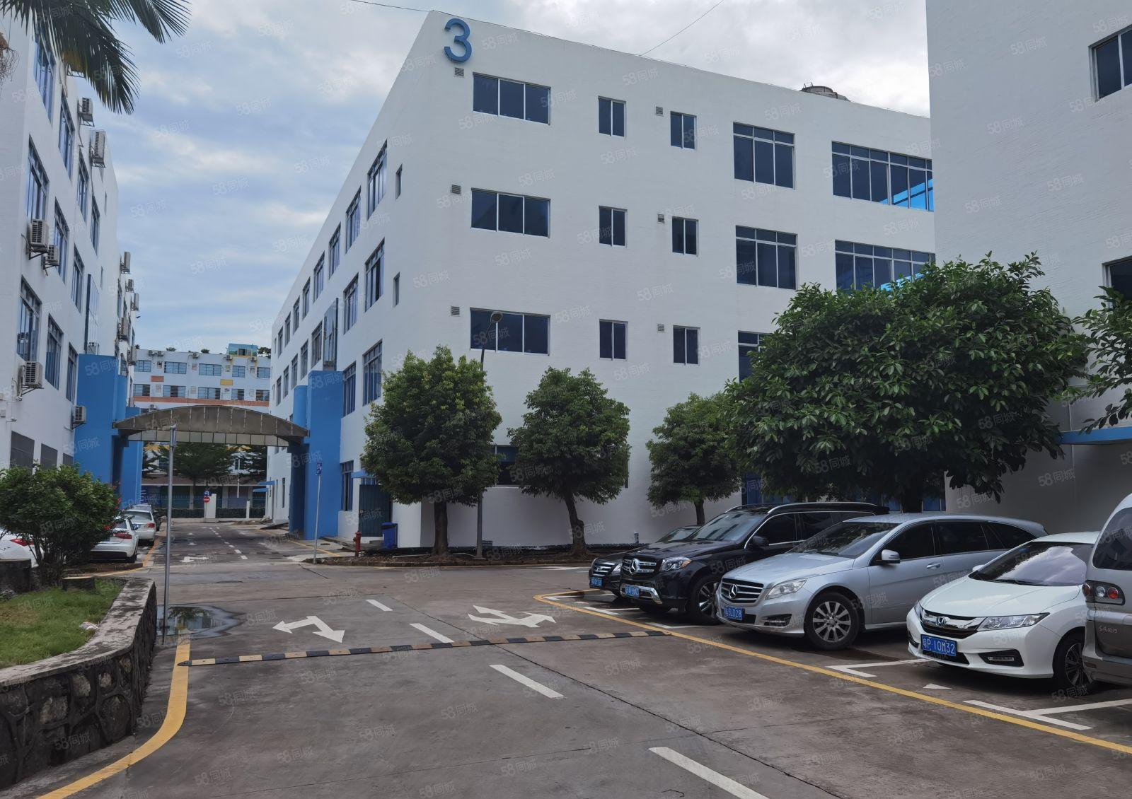 300平起分龙岗同乐路边新出原房东标准厂房一楼1500平出租