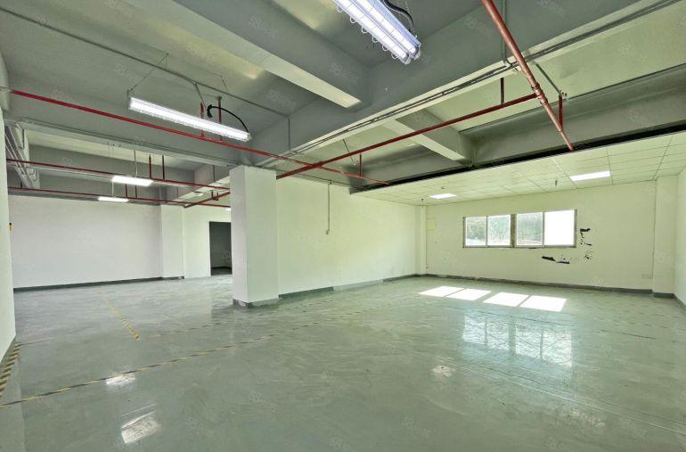 南山西丽 半层300平方 带办公室和仓库 电梯口 非常方便