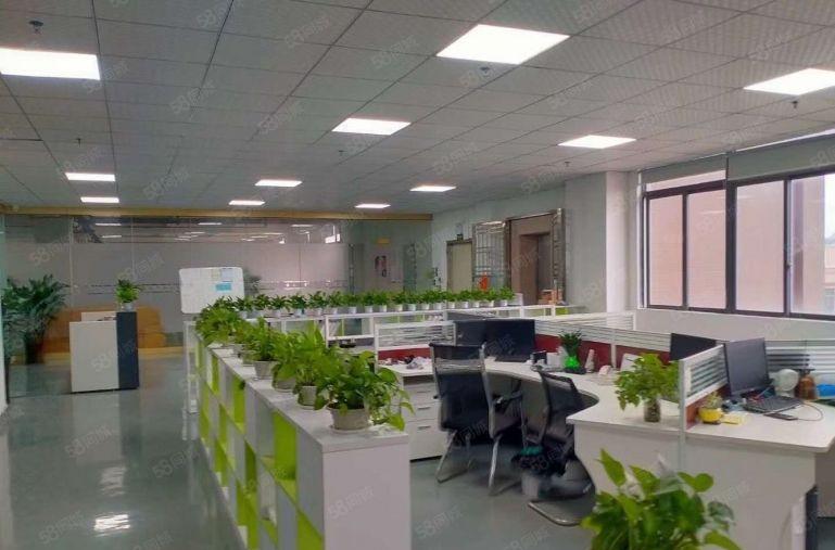 龙岗宝龙工业区新出楼上1650平方带现成办公室装修