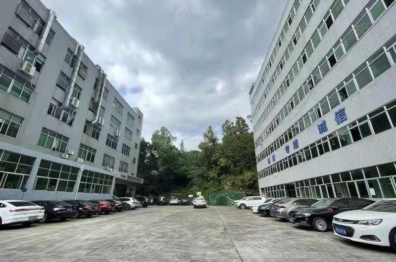 原房东，无公摊，石岩塘头独院10000平方5层厂房出租