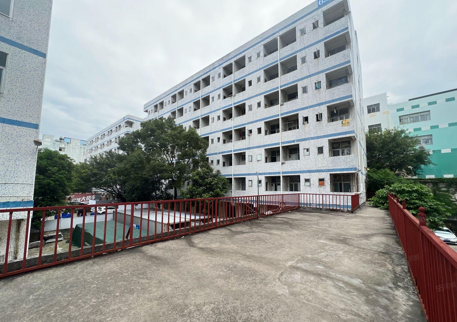 盐田附近大量宿舍楼出租50间100间带家私低价出租工程项目部