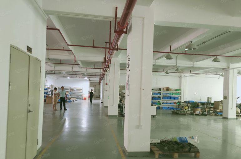 观澜福民龙观快线新出单层面积2800平米租24元