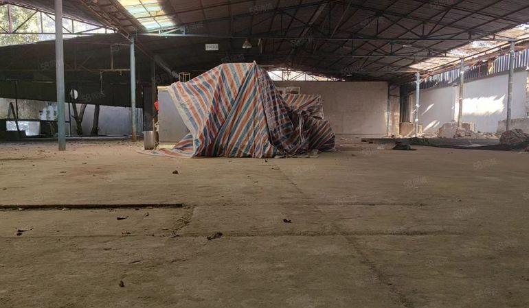 南山西丽大磡铁皮房3000平6米高靠近主干道旁边 交通便利