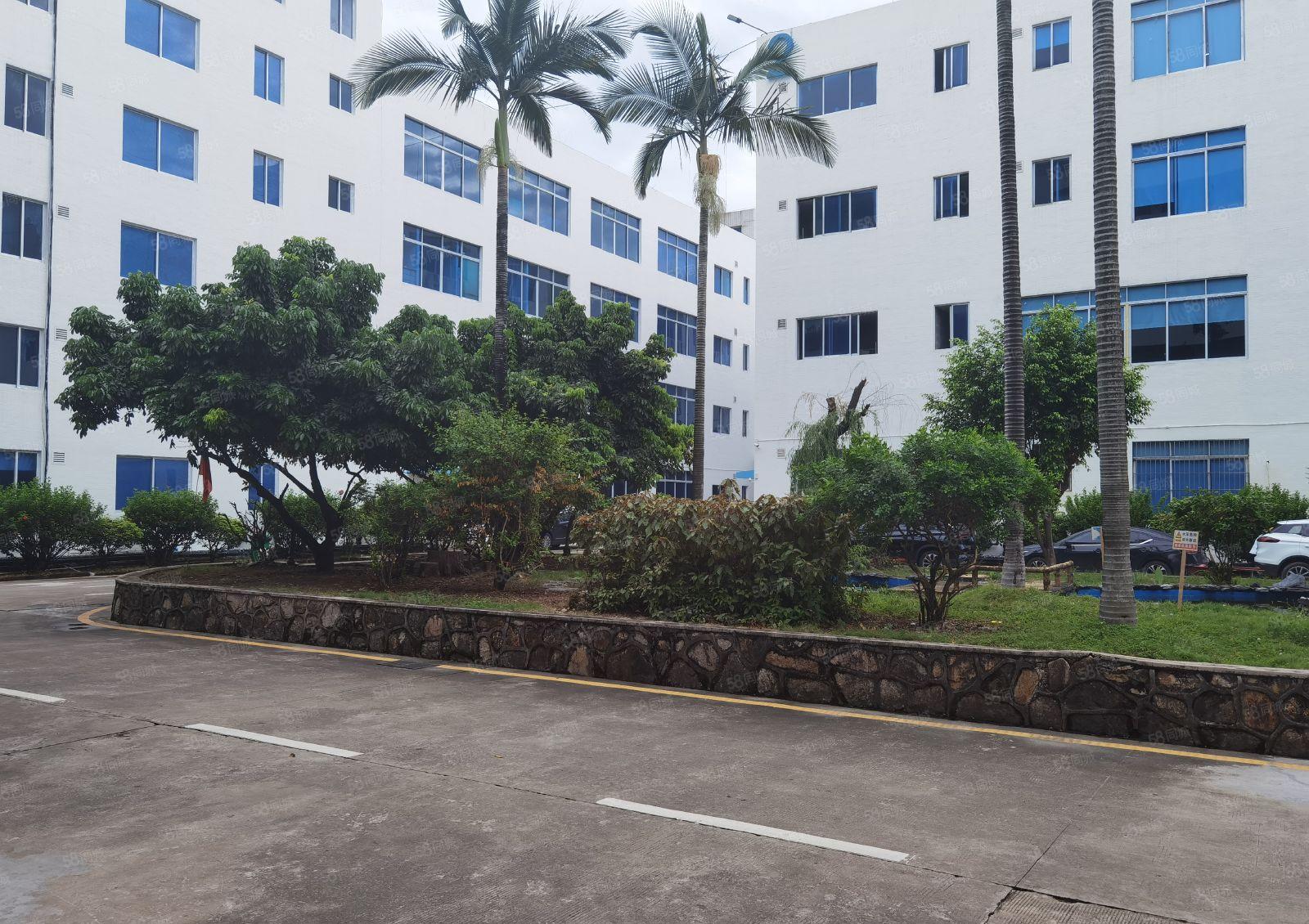 300平起分龙岗同乐路边新出原房东标准厂房一楼1500平出租