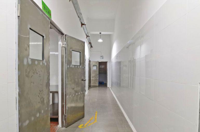 南山科技园附近  现成中央厨房1600平   无转让费