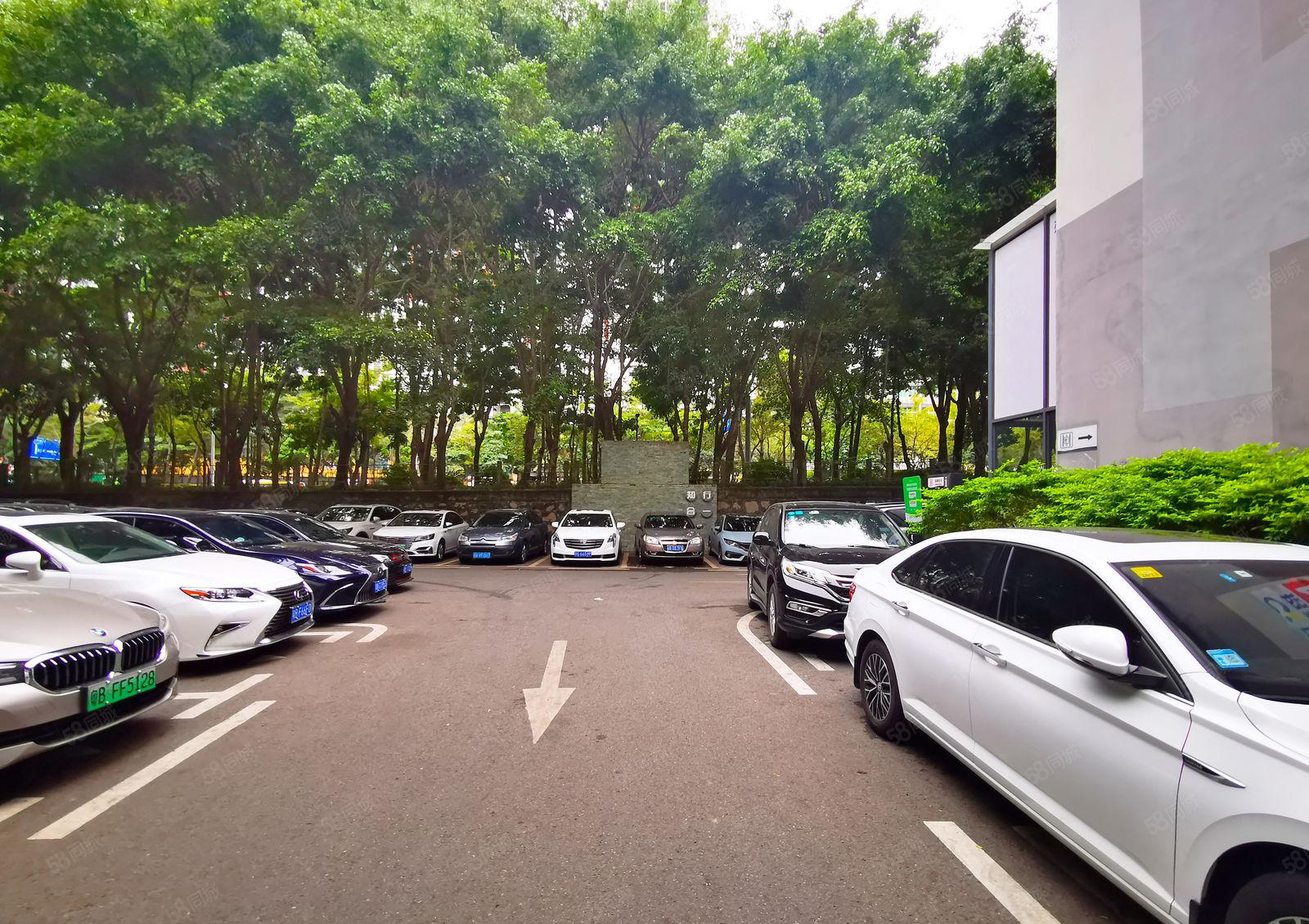 南山主干道边上 独院厂房2200平米 22个隔间精装修