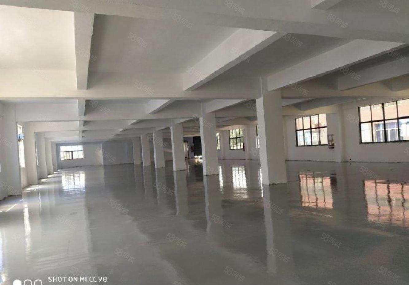 沙井107国道旁工业园独院独栋厂房5400平不分租，精装修