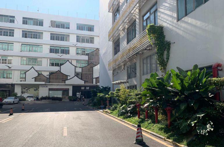 西丽文化产业园整层1800，3600平豪华装修，原房东直租