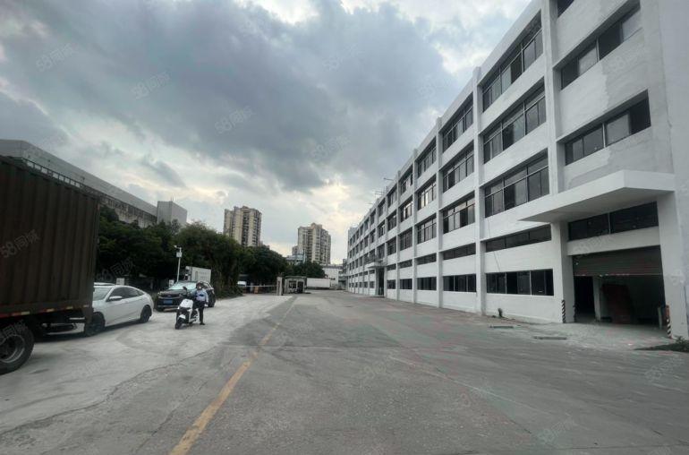 罗湖草埔厂改办公2000平可定制装修不限行业原房东出租