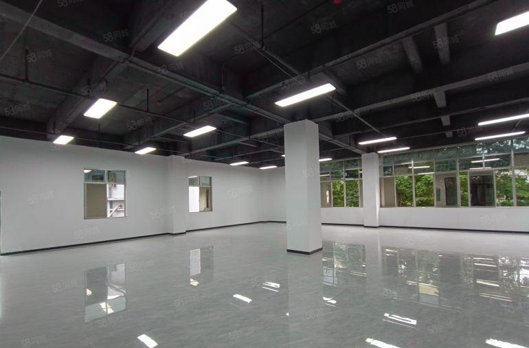 南山西丽大型园区楼上200平起租精装修电商办公仓库厂房出租