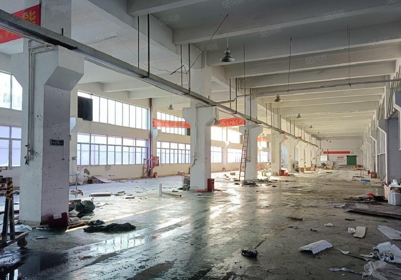 公明原房东高新园区在红本厂房独栋一楼一整层1800平方