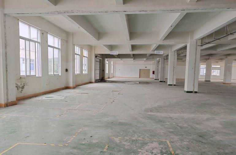 南山西丽大磡科技园 可整租可分租价格面议