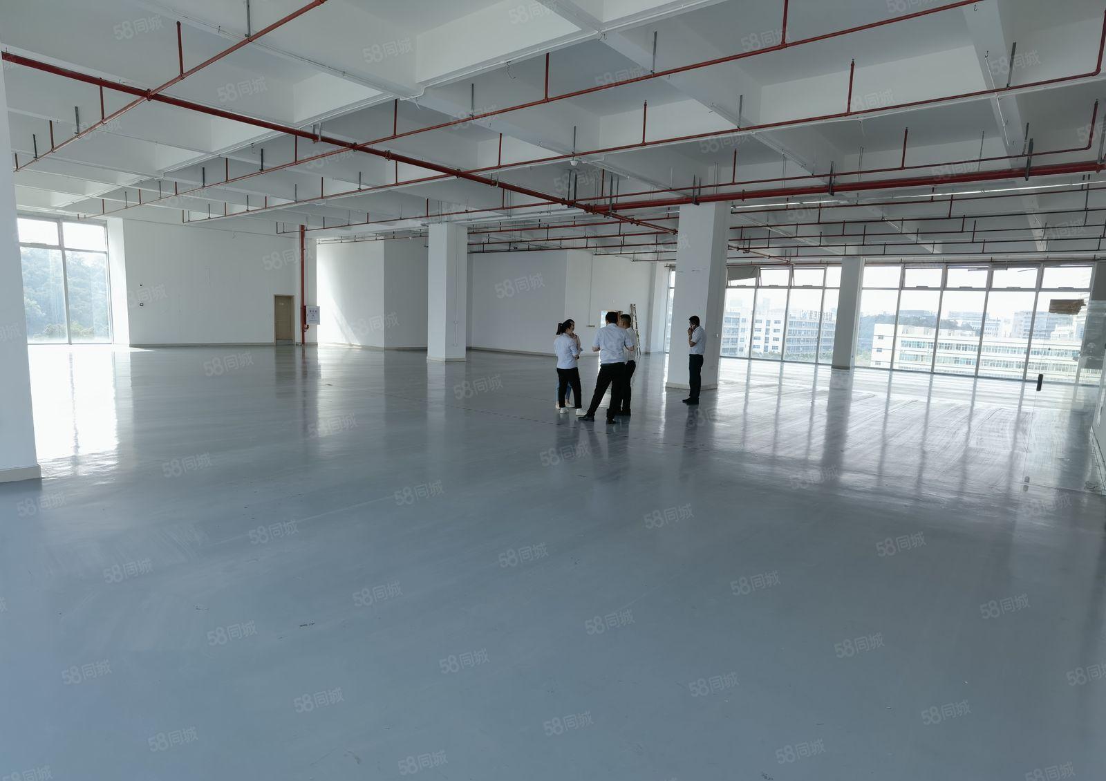 南山塘朗地铁口全新厂房4400平方厂房出租300平方起分租