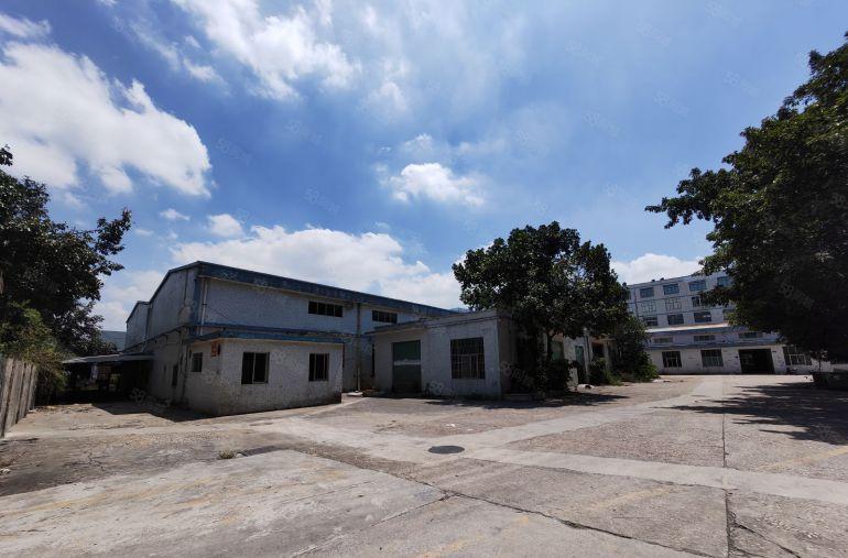 1000平起租 沙河路边原房东红本独院钢构6000平厂房出租