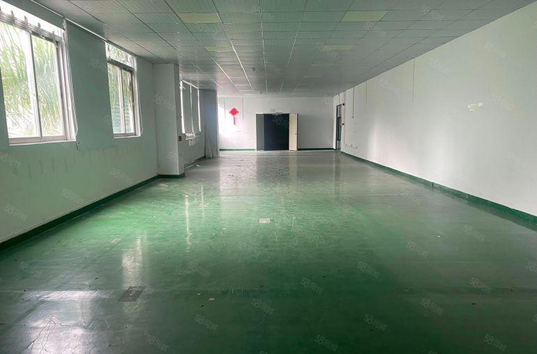 南山西丽留仙洞产业园楼上450,一楼1300平，原房东直租