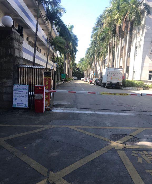 布吉地铁站电商厂房300平500平800平1300平