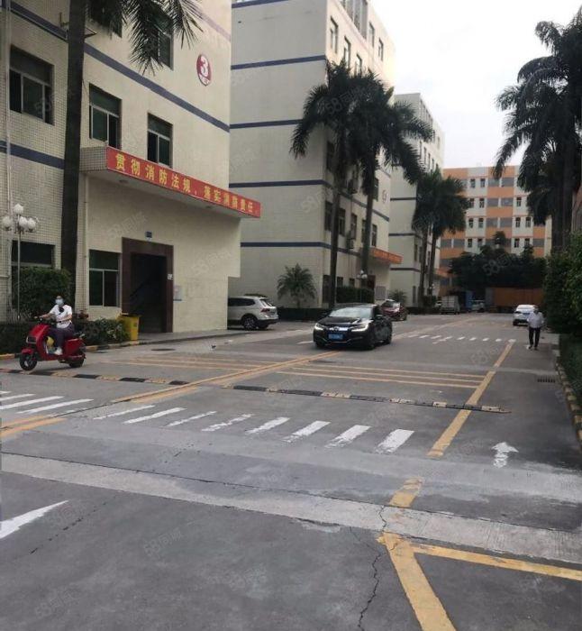 福田八卦岭一手业主200至2000平厂房写字楼仓库招租可分租