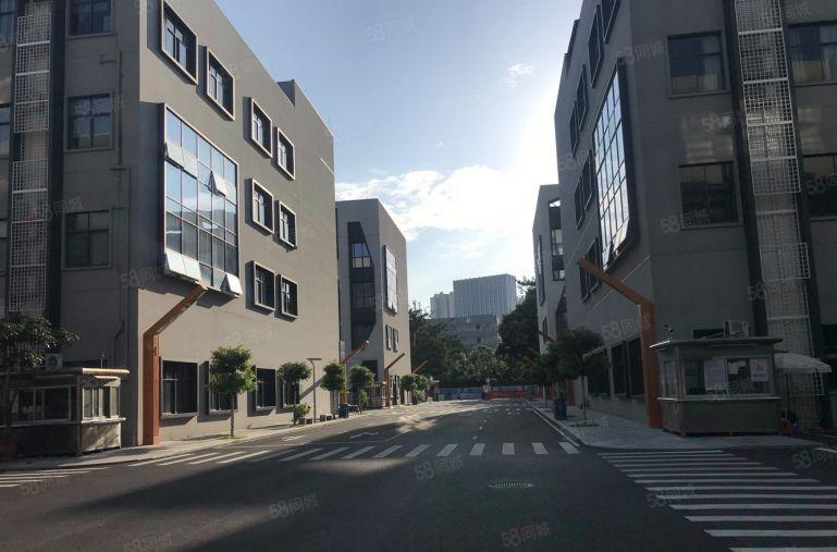 西丽 国资园区厂房出租500平至8000平 无公摊大小出租