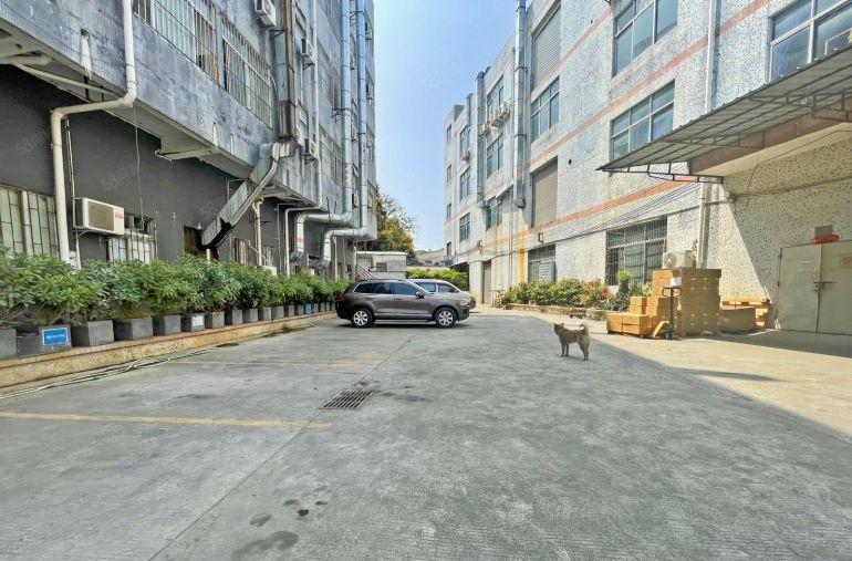 西丽独门独院整栋厂房4800平方 租金便宜