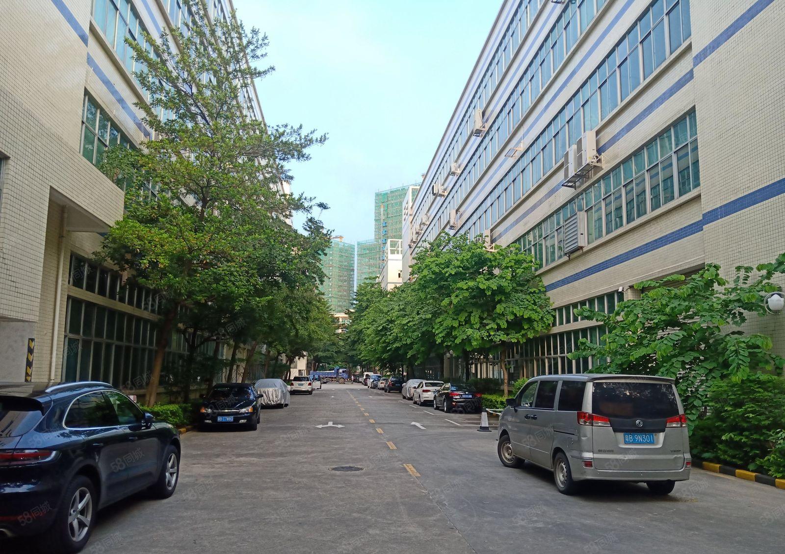 西丽大堪工业区200平至5000平精装办公室电商仓库厂房出租