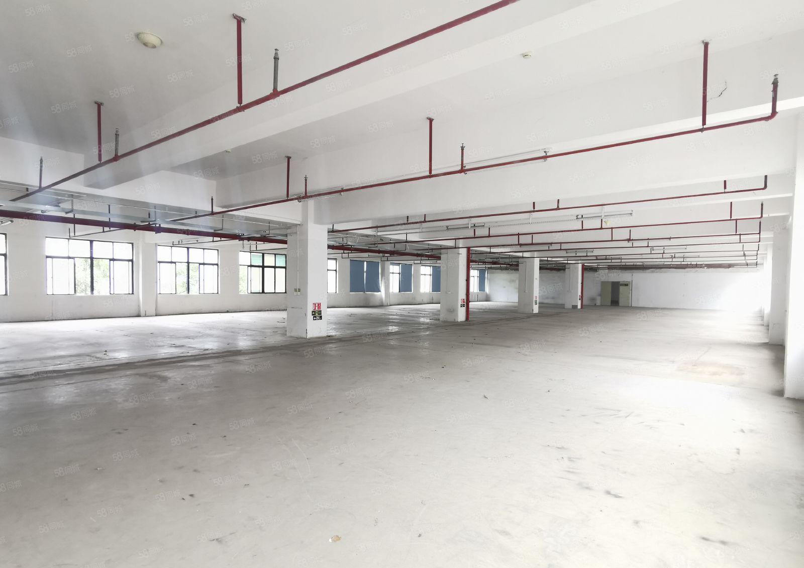 横岗高速路口永湖地铁站边空出原房东厂房一层2600平方