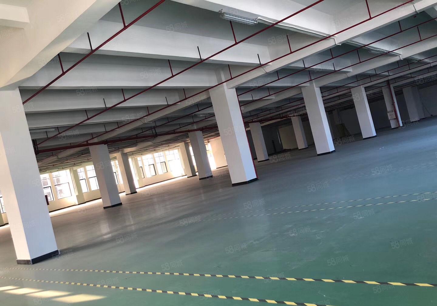 布吉草埔地铁站附近新出一楼1200平三楼1200平米厂房出租