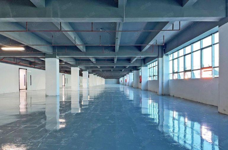 南山西丽高新园 145平至3000平 全新装修可组合租金便宜