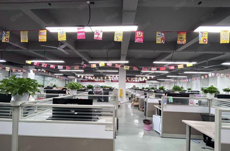 西丽大学城300平方至5000平方精装修厂房仓库出租可分租