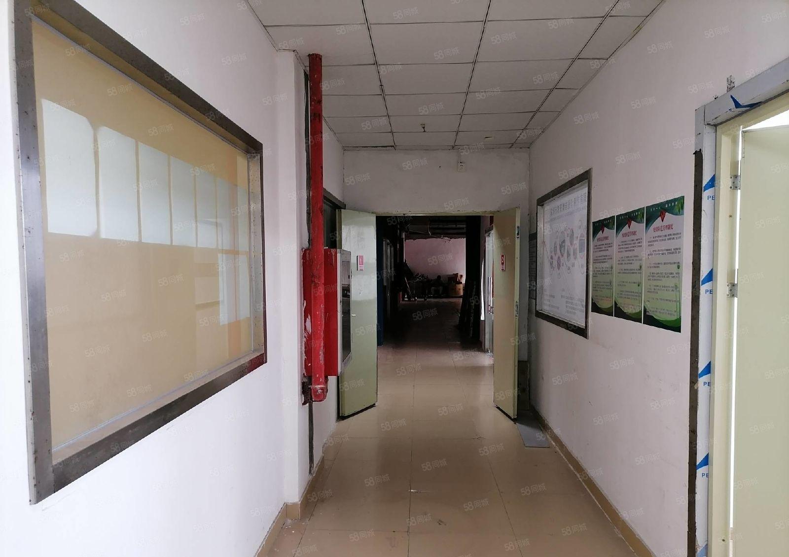 南山海润超大型体育园区高层200平厂房仓库招租