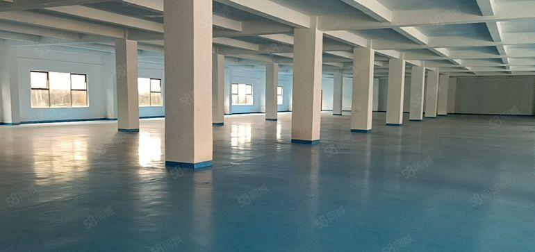 500平起租南山中心路附近整层5000平米原房东实际面积