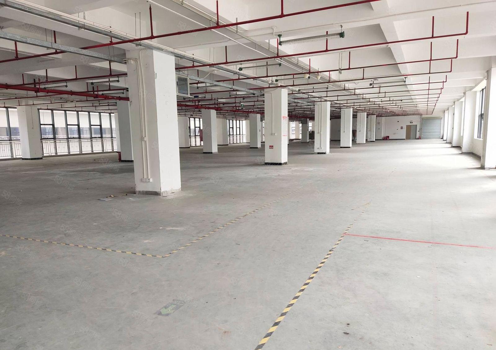 西丽一楼350平至5000平精装办公室电商仓库厂房出租