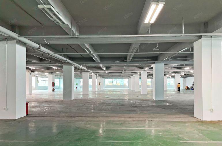 南山西丽13号地铁线  整层4000平  形象好  可分租