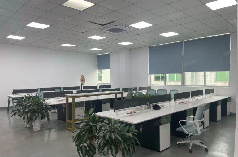 南山西丽高新产业园1000平带精装修厂房可申请房租补贴