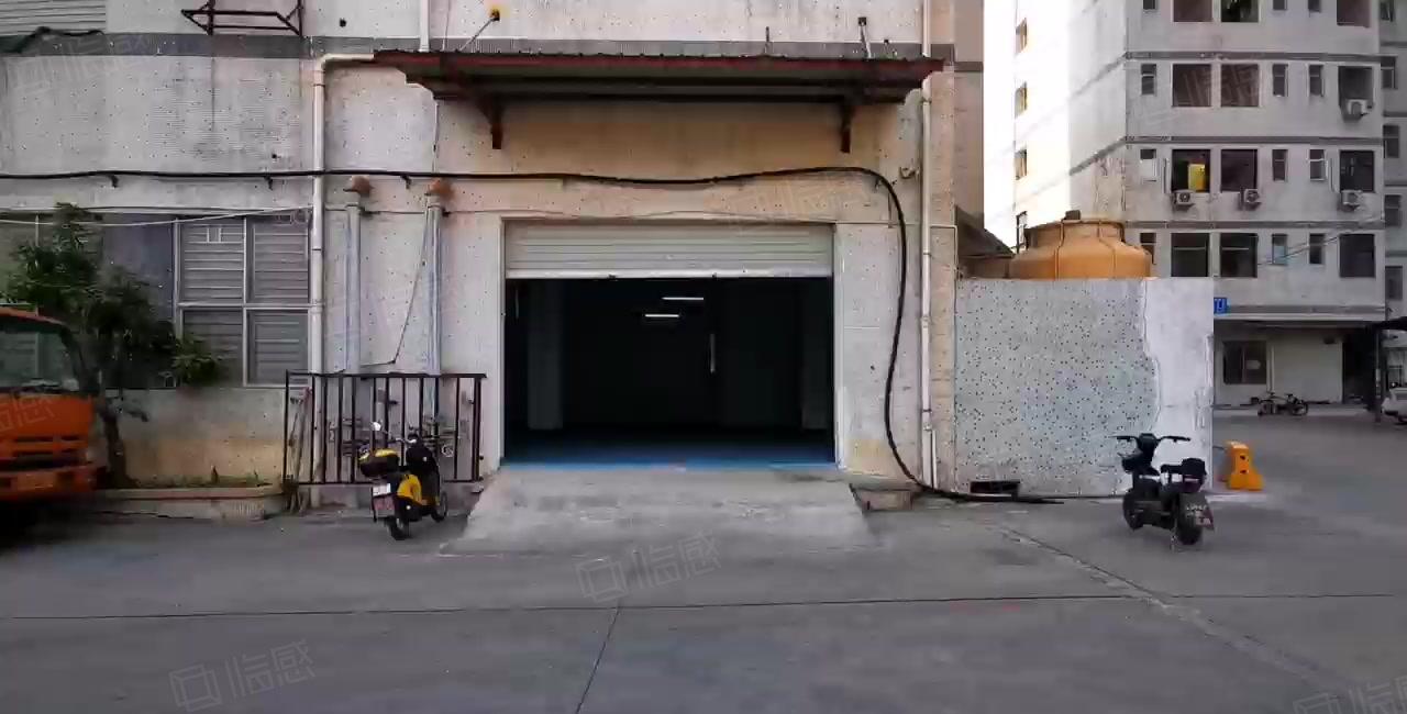 南山西丽一楼厂房出租 园区空地大一楼375平米 大车好进出