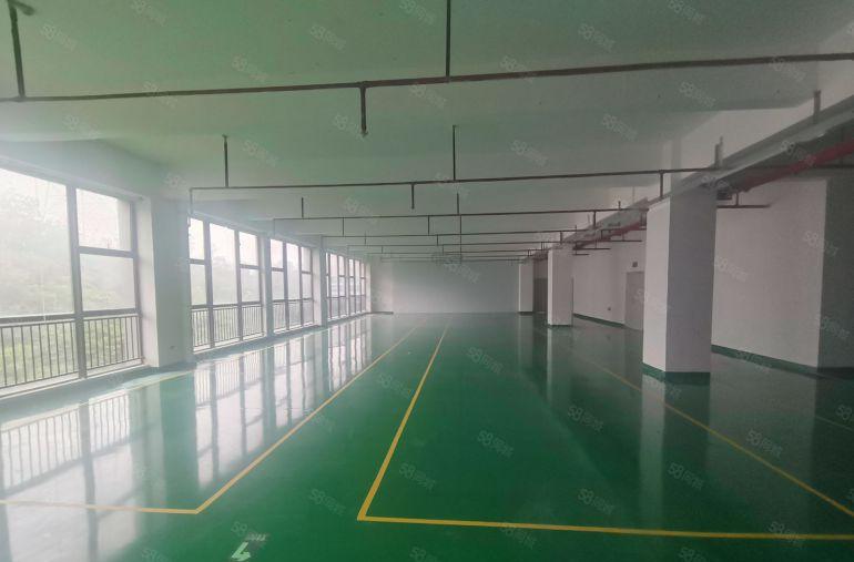 深圳南山地铁口1000平精装修一楼上物流仓库电商办公低价出租