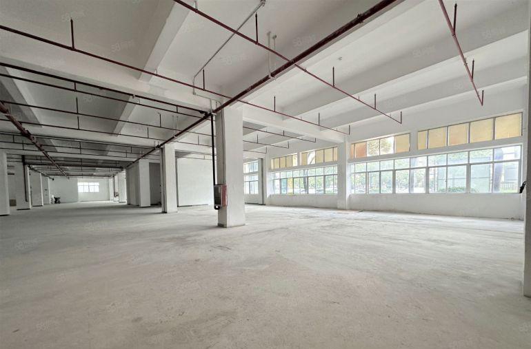 福田八卦岭产业园一楼5米高2400平厂房写字楼仓库出租可分租