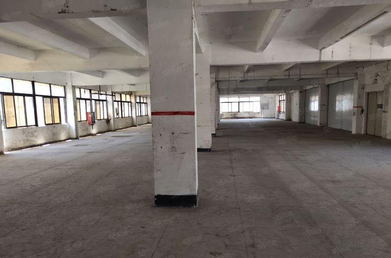 盐田3500平方独院厂房仓库出租大小可分租