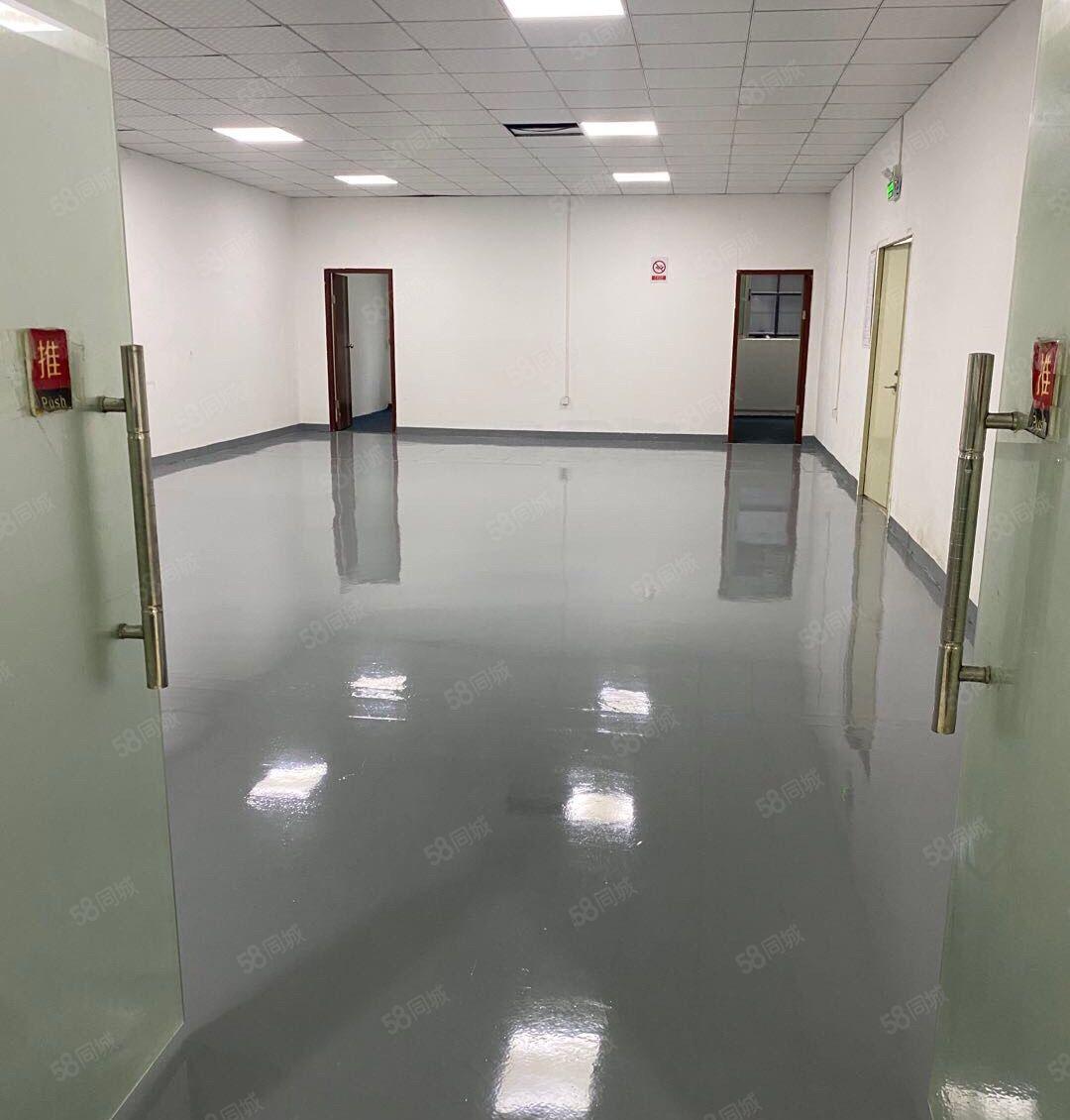 南山西丽城产业园400平带装修适合办公，电商研发