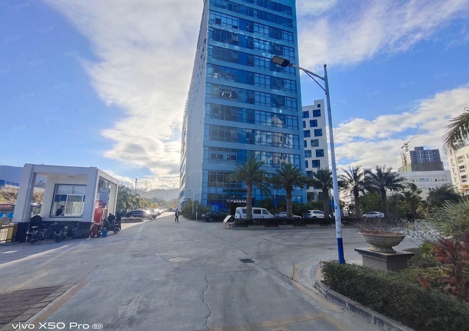 南山区蛇口一手业主直租实际面积1000平报价100元合同5年