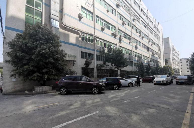 西丽留仙洞1000平原房东独院精装修厂房出租 仓库出租