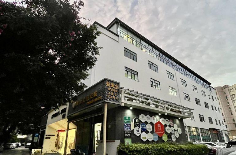 西丽大学城地铁口一楼312平直播展厅复试办公仓库