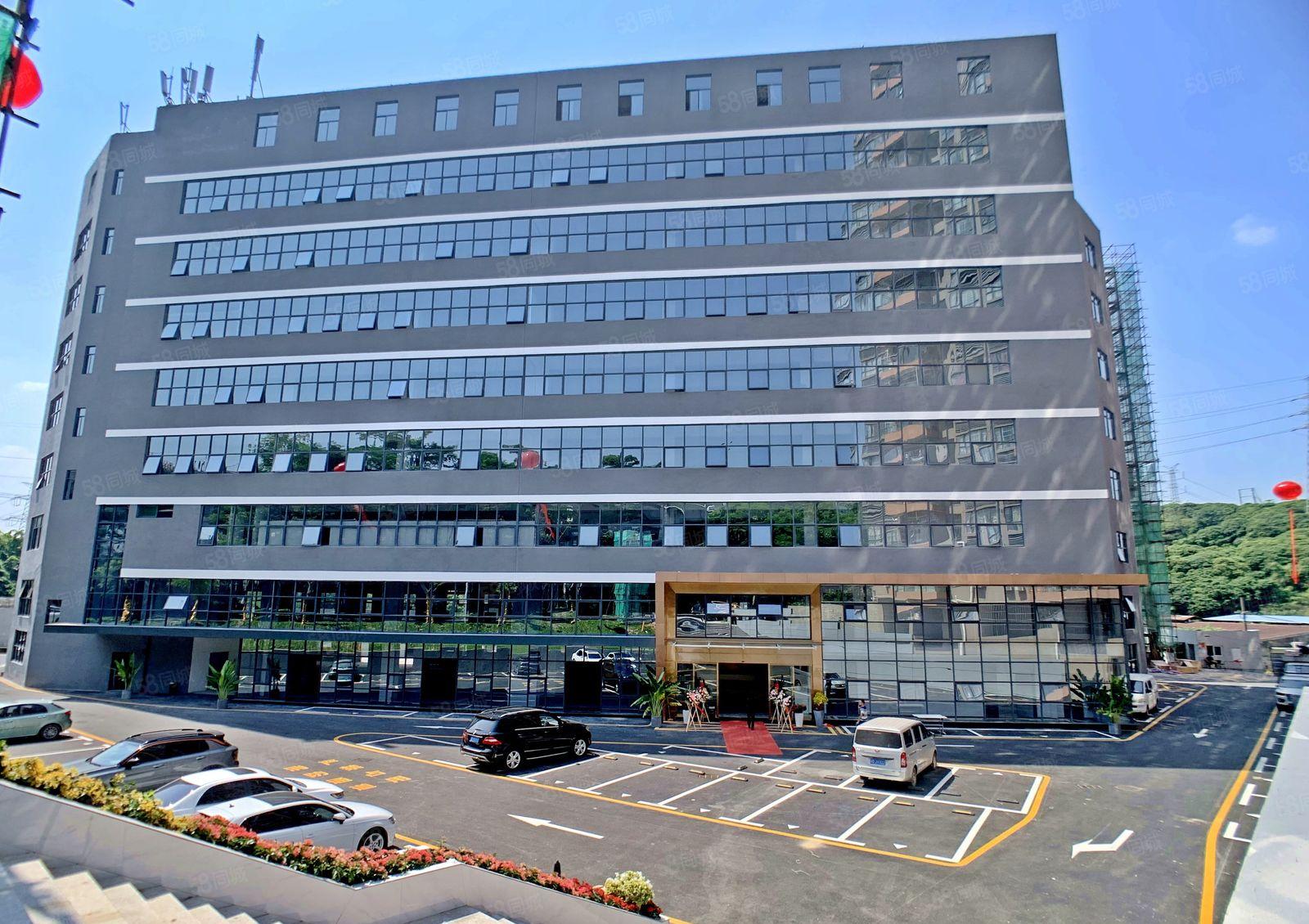 西丽留仙洞 新出643平方精装 特价3W 含管理费