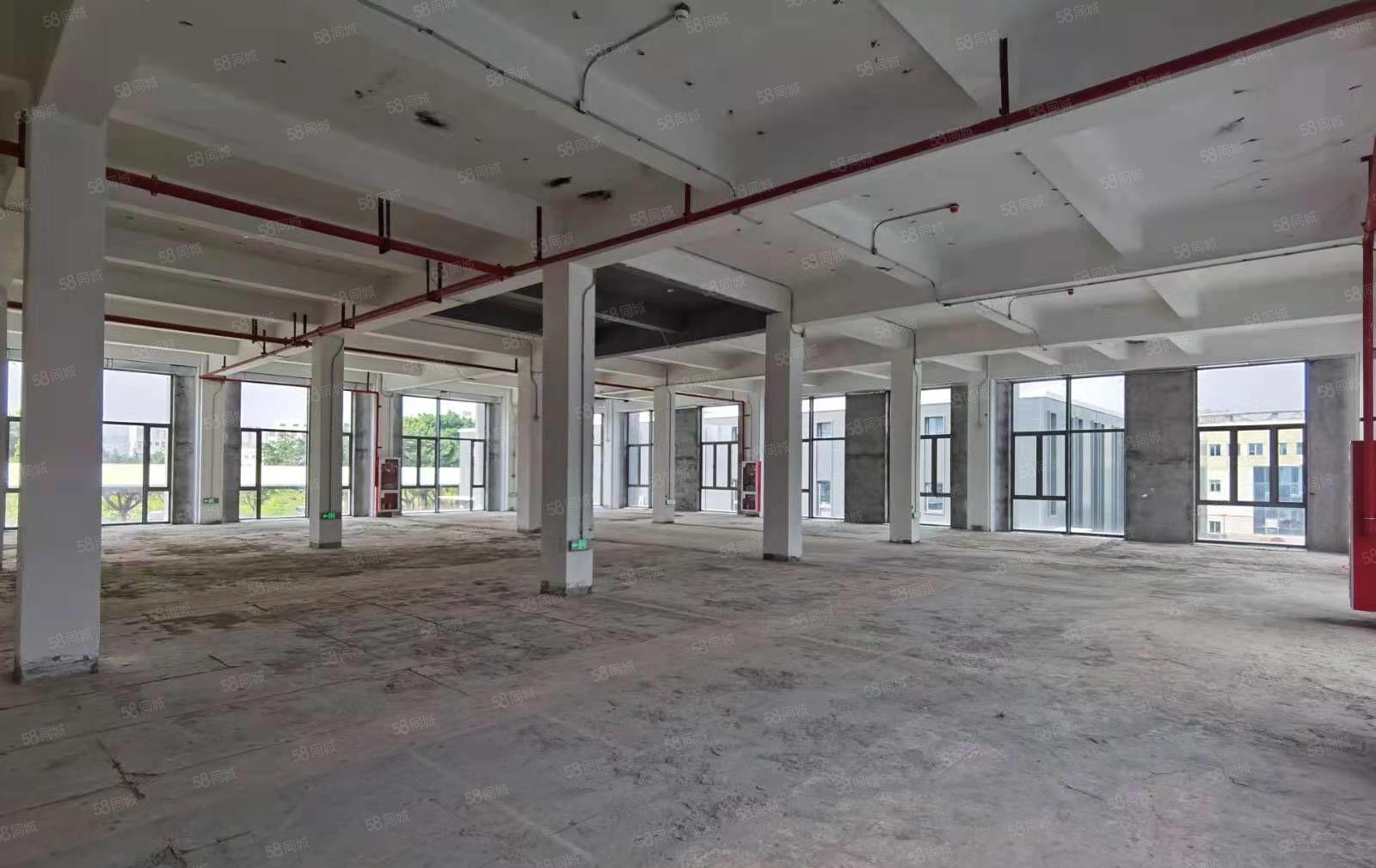 光明高新园区5000红本厂房出租大小分租