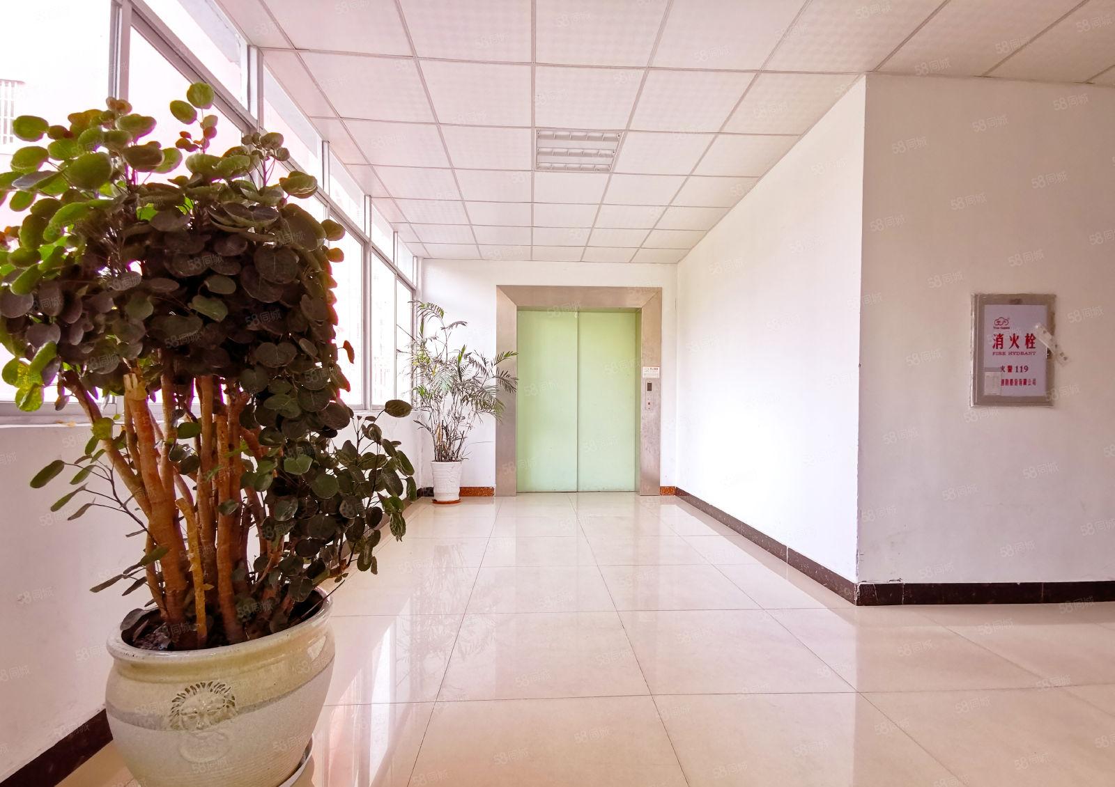 西丽地铁口厂房 业主直租大小面积 不限行业 租金实惠 车位多