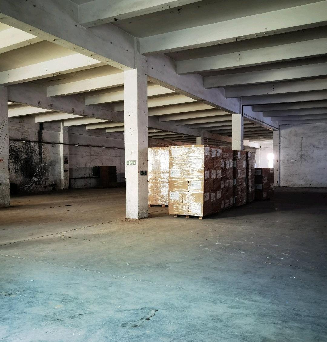 平湖一楼标准厂房300-7000平方可分租临近清平高速出口