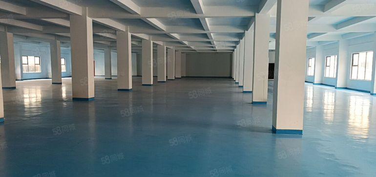 500平起租南山中心路附近整层5000平米原房东实际面积