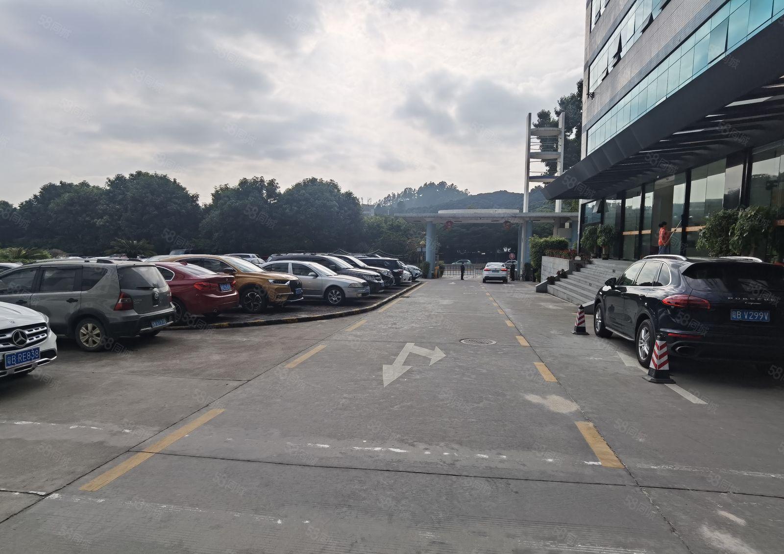 南山松白路主干道边新出带装修845平厂房