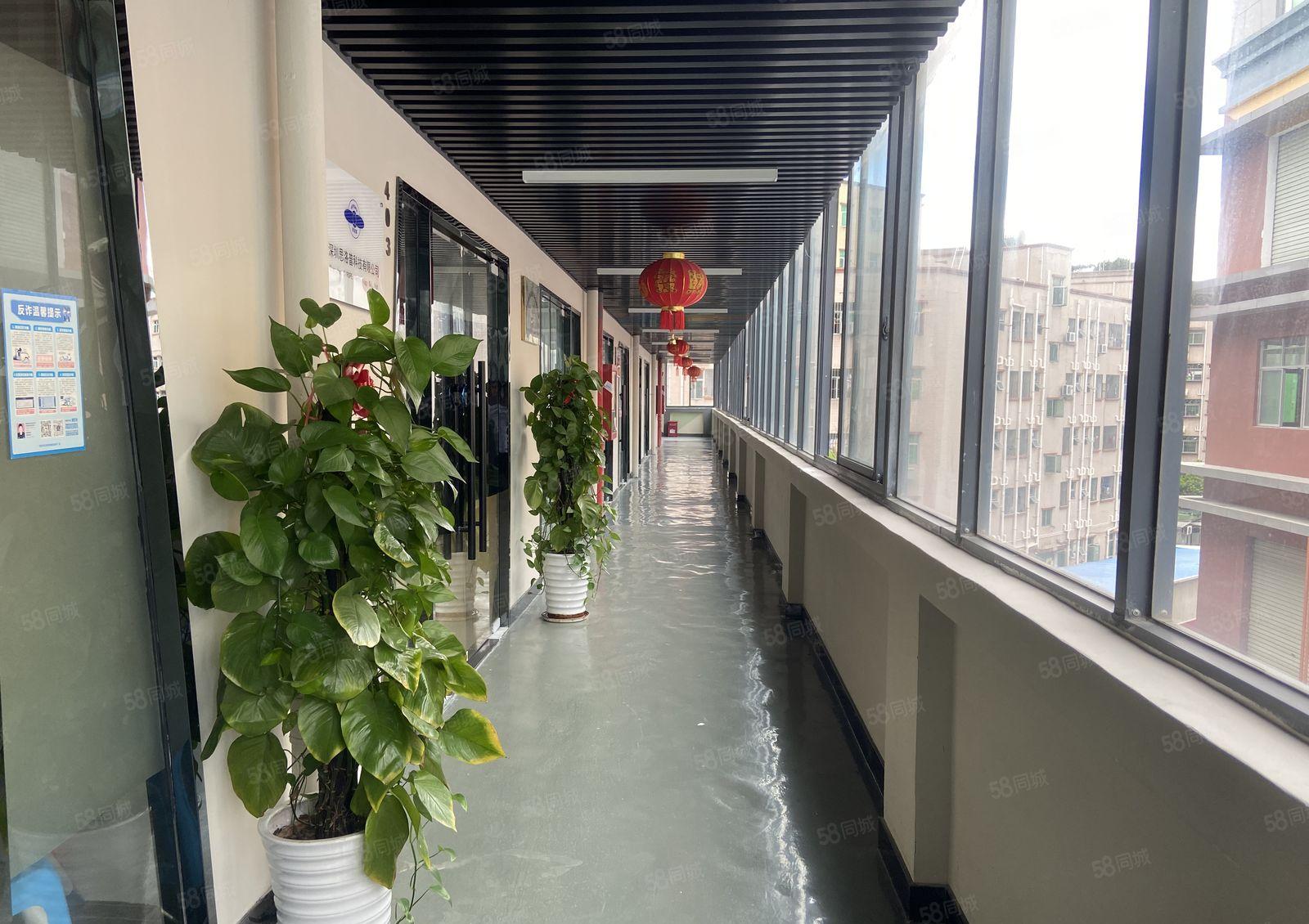 美盈（凤凰）智汇园 66平带装修厂房 创业  形象好