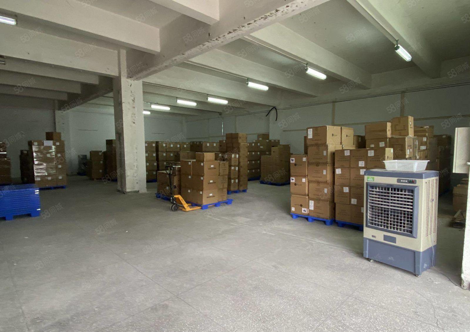 5米层高 一楼1000平 西丽地铁 办公展厅仓储优选地