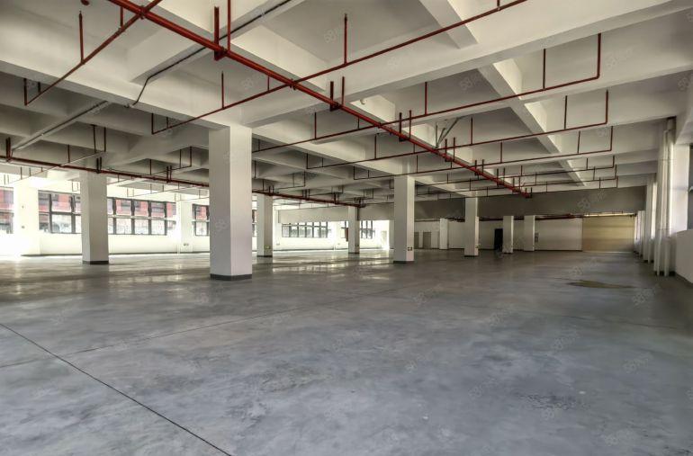 东莞塘厦临深原房东花园式红本无公摊厂房出租35万平，可分租